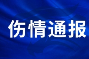 世界杯小组赛突尼斯vs日本-免费直播无插件-BAR1750在线观看_世界杯小组赛突尼斯vs日本-免费直播无插件-BAR1750高清回放_世界杯小组赛突尼斯vs日本-免费直播无插件-BAR1750比分预测