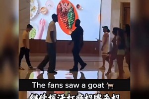 气质拿捏 球迷偶遇杜兰特，后面还跟着几位美女...直播_气质拿捏 球迷偶遇杜兰特，后面还跟着几位美女...在线直播_免费观看气质拿捏 球迷偶遇杜兰特，后面还跟着几位美女...直播